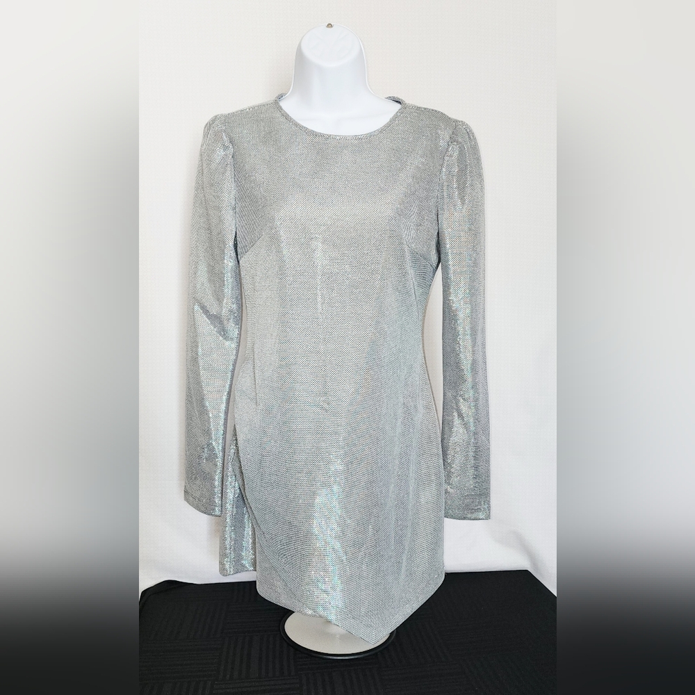 Forever 21 Shiny Silver Long Sleeve Dress